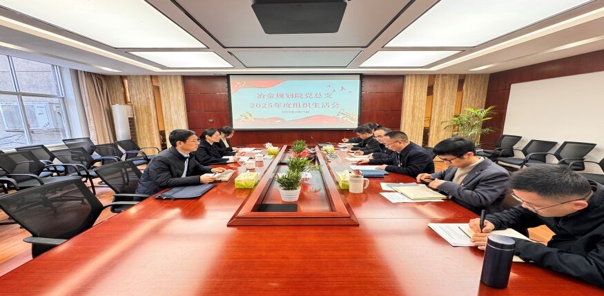 冶金妄想院党总支召开2025年度组织生涯会