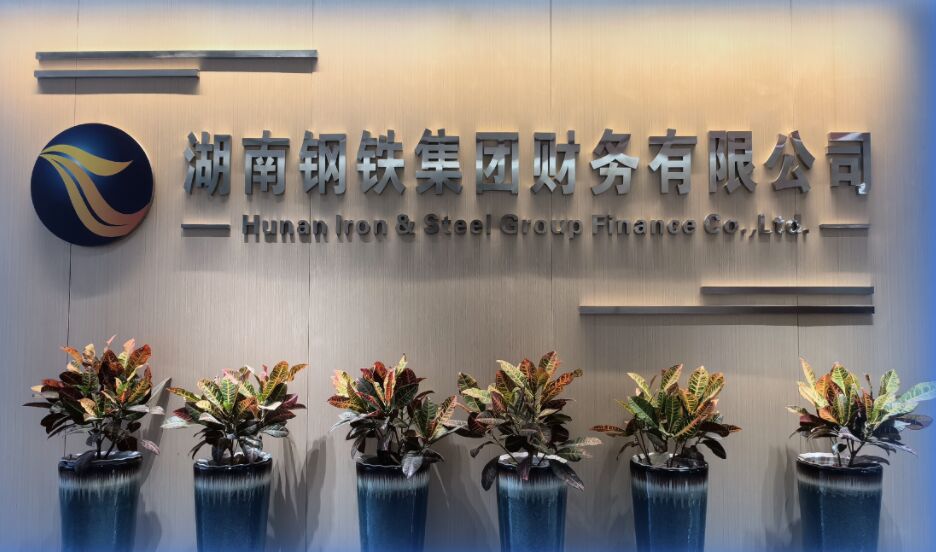 腾博会诚信为本专业服务集团财务有限公司